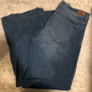 Express wide leg jeans